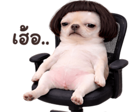 ลายที่ 47