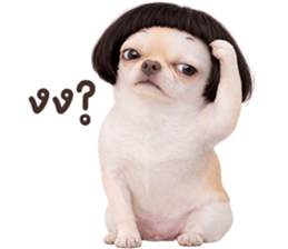 ลายที่ 49