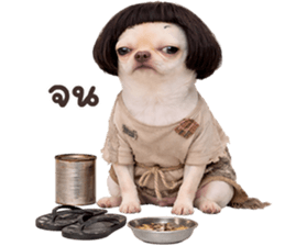 ลายที่ 51