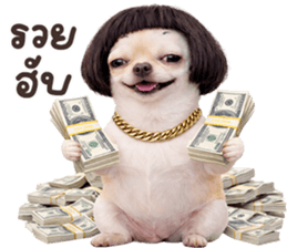 ลายที่ 53