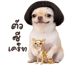 ลายที่ 55