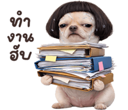 ลายที่ 57