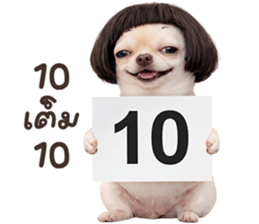 ลายที่ 59