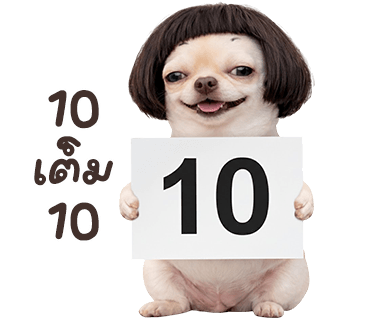 ลายที่ 30