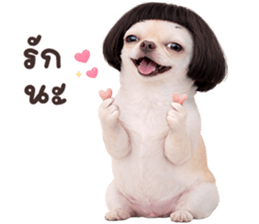 ลายที่ 61