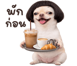 ลายที่ 69