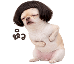 ลายที่ 71