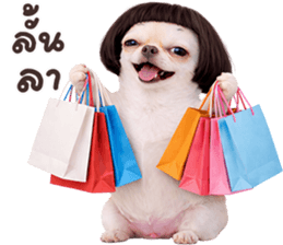 ลายที่ 73