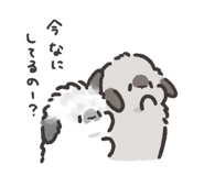 812386905