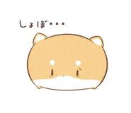 812414936
