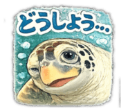 812423856
