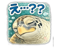 812423859