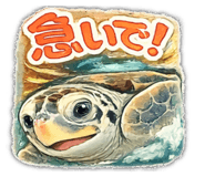 812423864