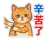 812442706