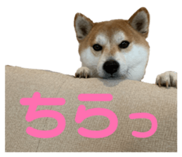 812461253