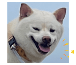 812465234