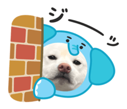812465244