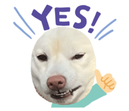 812465254
