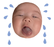 812507317