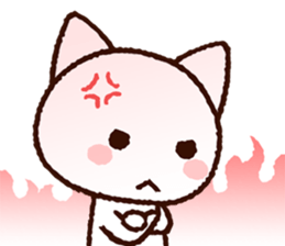 8125304