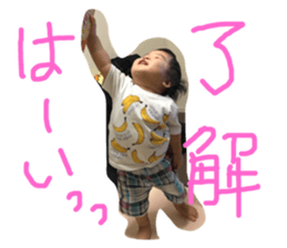 81253208