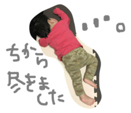 81253213