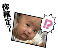 812544455