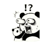812560206