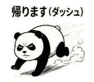 812560211