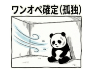 812560217