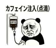812560218