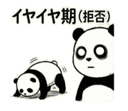 812560223