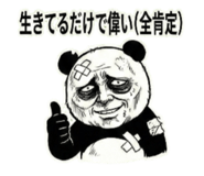 812560224