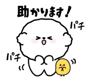 812586221