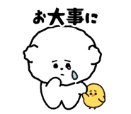 812586242