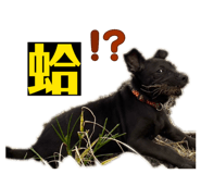 812587554