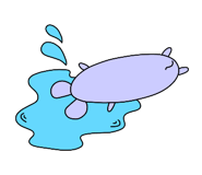 812598643