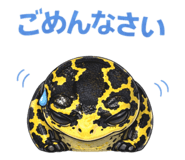 812602587