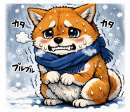 812641189