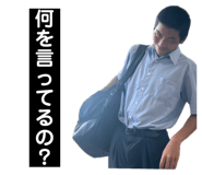 812646555