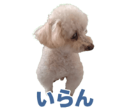 812656268