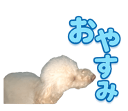 812656272