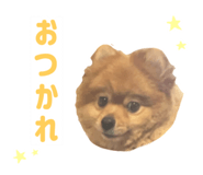 812657539