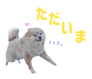 812657550