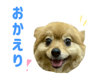 812657551