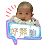 812677526