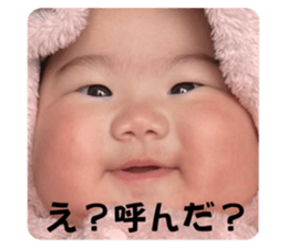 812695325