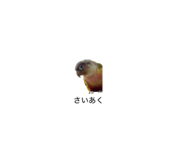 812717398