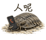 812725385