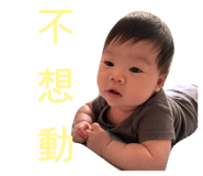 812745588